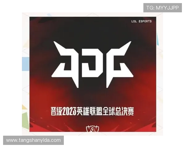 全明星赛精彩回顾:JDG战队实力展现与未来展望